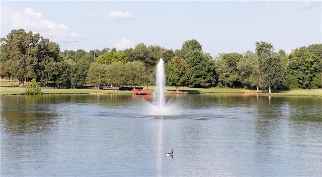 view of water feature