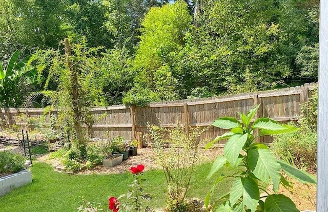 view of yard with a fenced backyard and a vegetable garden