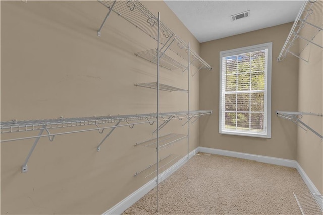102 Plantation Dr, Lagrange, GA 30277 - spacious closet featuring carpet flooring