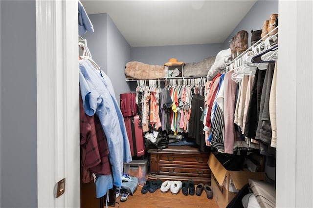 walk in closet with wood-type flooring