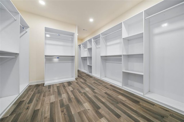 spacious closet with dark wood-type flooring