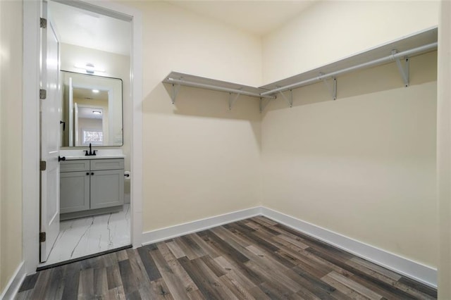 spacious closet featuring dark hardwood / wood-style flooring and sink