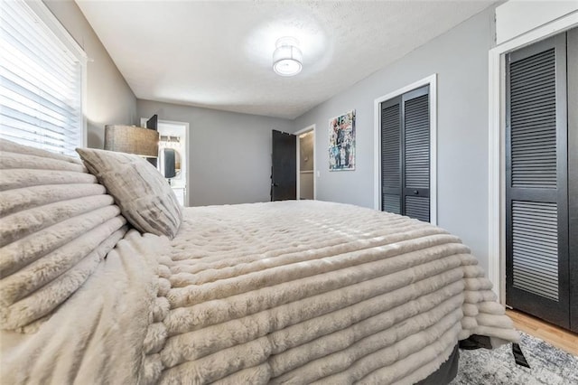 bedroom with hardwood / wood-style floors and multiple closets