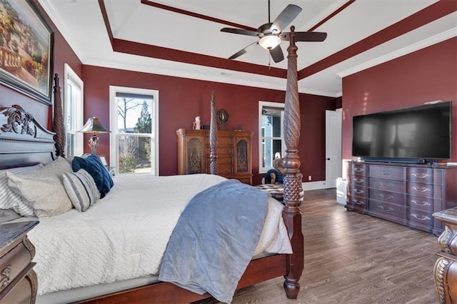 bedroom with dark hardwood / wood-style flooring, ornamental molding, a raised ceiling, and ceiling fan