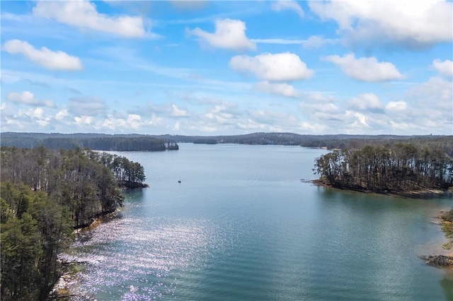 4115 Merritt Dr, Cumming, GA 30041 - water view