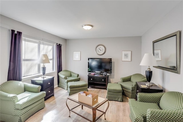 living room with light wood-type flooring