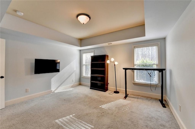 interior space with a raised ceiling and light carpet