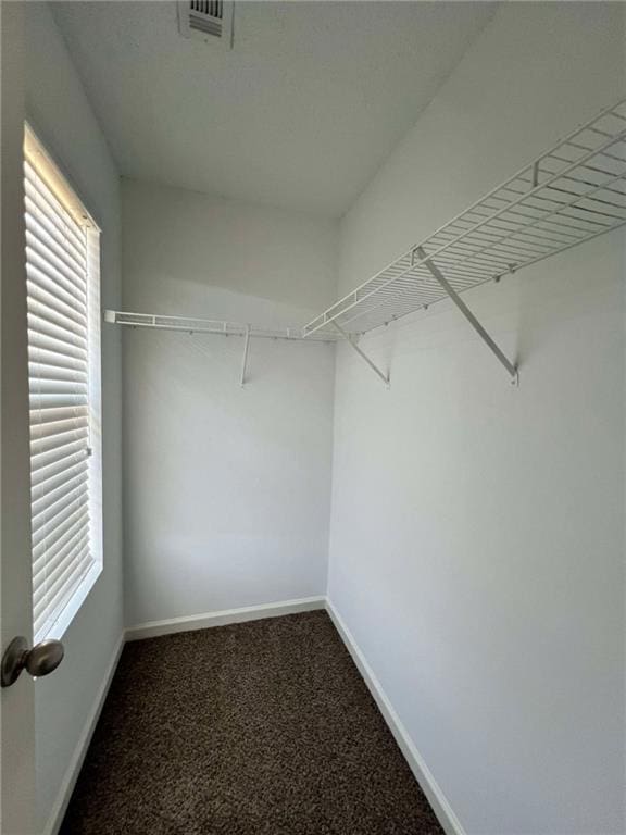 walk in closet featuring dark colored carpet