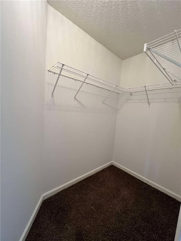 spacious closet featuring carpet floors