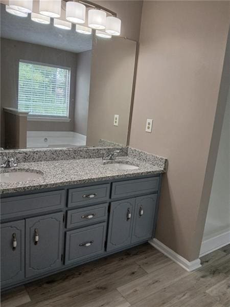 bathroom featuring double vanity, wood finished floors, baseboards, and a tub