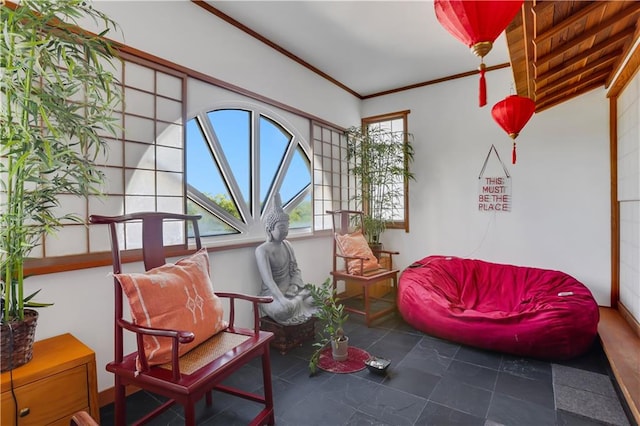 living area with ornamental molding and a healthy amount of sunlight