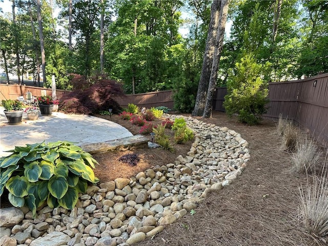 view of yard featuring a patio