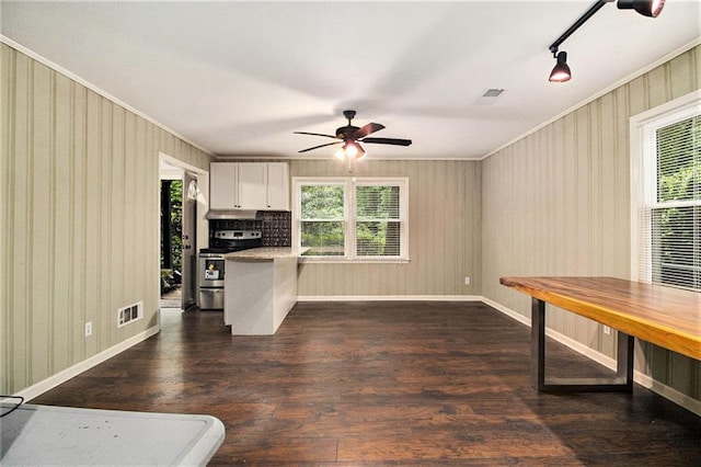 6590 Williamson Dr NE, Atlanta, GA 30328 - kitchen featuring stainless steel range with electric cooktop, healthy amount of natural light, ceiling fan, ornamental molding, and under cabinet range hood