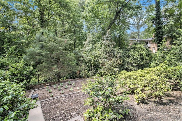 6590 Williamson Dr NE, Atlanta, GA 30328 - view of yard