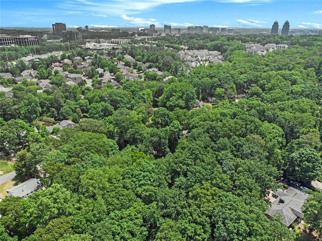 6590 Williamson Dr NE, Atlanta, GA 30328 - drone / aerial view of a forest