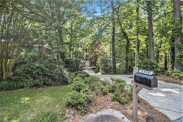 6590 Williamson Dr NE, Atlanta, GA 30328 - view of road