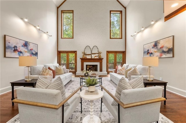 living room featuring a healthy amount of sunlight, a towering ceiling, and dark wood-type flooring