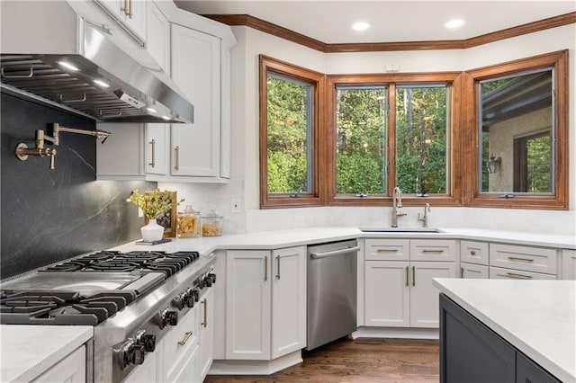 kitchen featuring ventilation hood, sink, and white cabinets