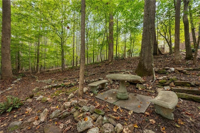 view of local wilderness