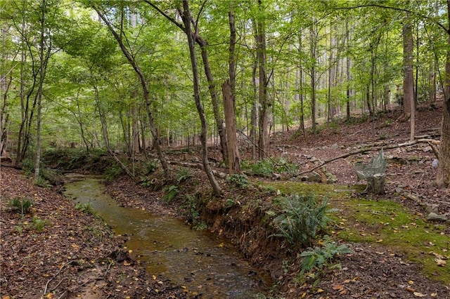 view of landscape