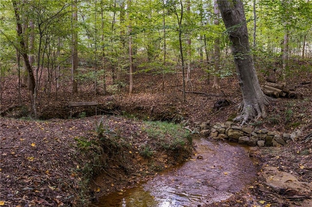 view of local wilderness