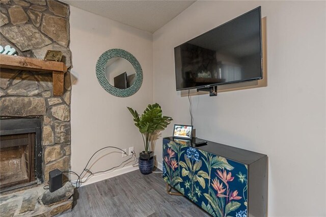 living room with a stone fireplace and wood-type flooring