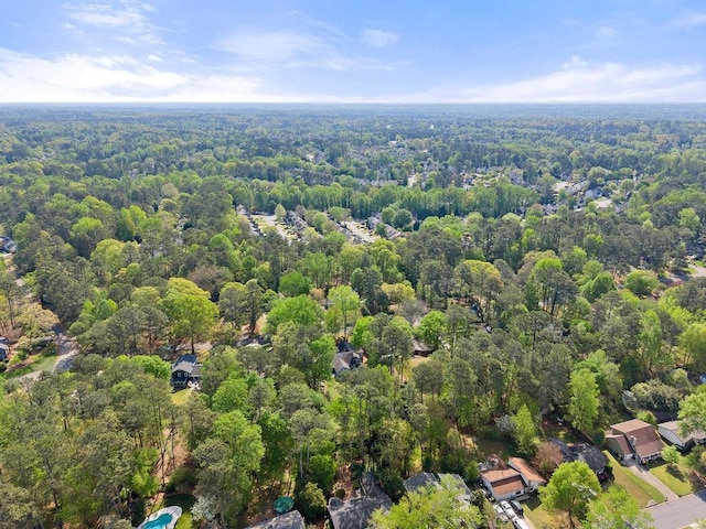 bird's eye view of a forest
