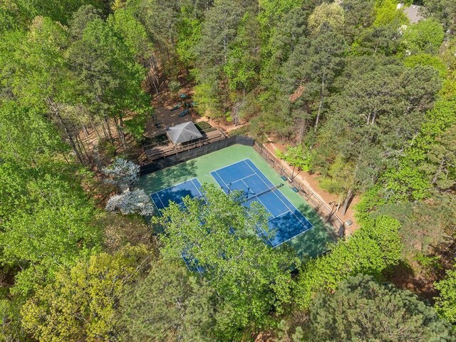bird's eye view of a forest