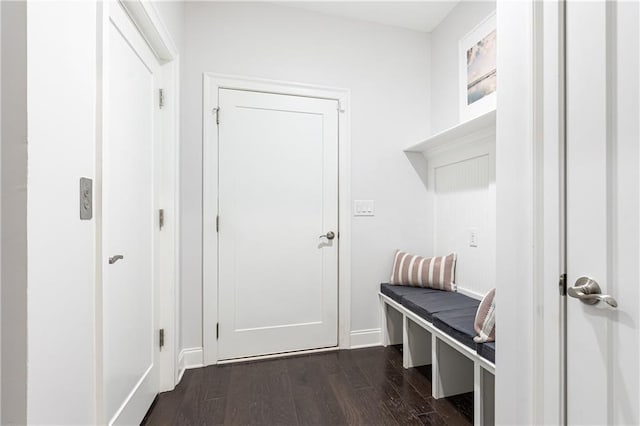 mudroom with dark wood-style flooring