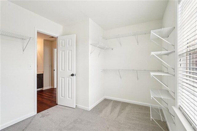 spare room featuring baseboards, vaulted ceiling, ceiling fan, and carpet