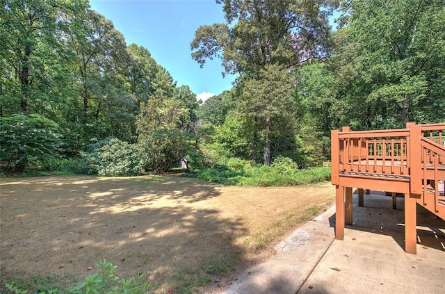 view of yard featuring a patio area