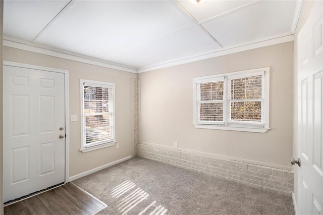 carpeted empty room with crown molding