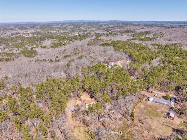 bird's eye view with a forest view