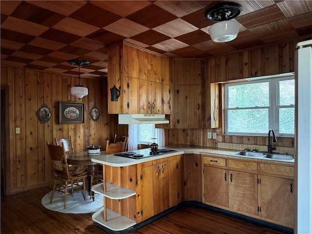 kitchen featuring under cabinet range hood, light countertops, black electric cooktop, and a sink