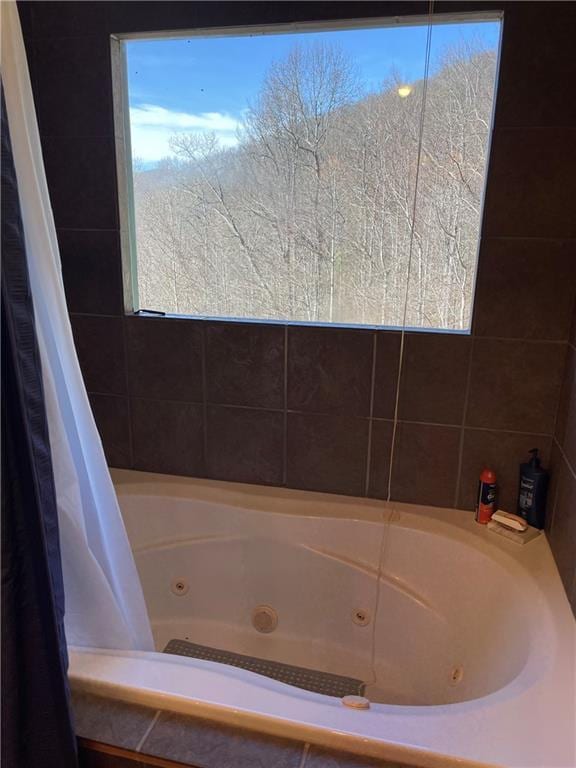 71 Hidden Valley Dr S, Ellijay, GA 30536 - bathroom with a jetted tub