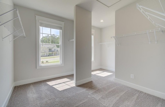 spacious closet with light carpet