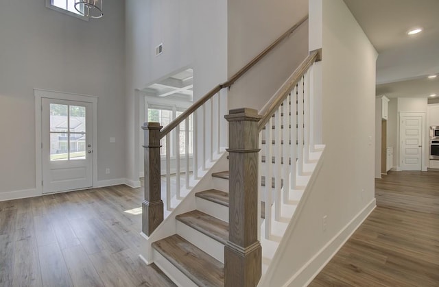 foyer with hardwood / wood-style flooring and a high ceiling