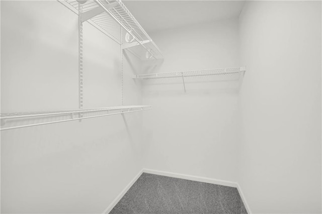 1645 Cobbs Creek Ln, Decatur, GA 30032 - walk in closet featuring carpet flooring