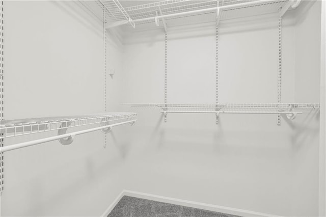 1645 Cobbs Creek Ln, Decatur, GA 30032 - spacious closet with carpet floors