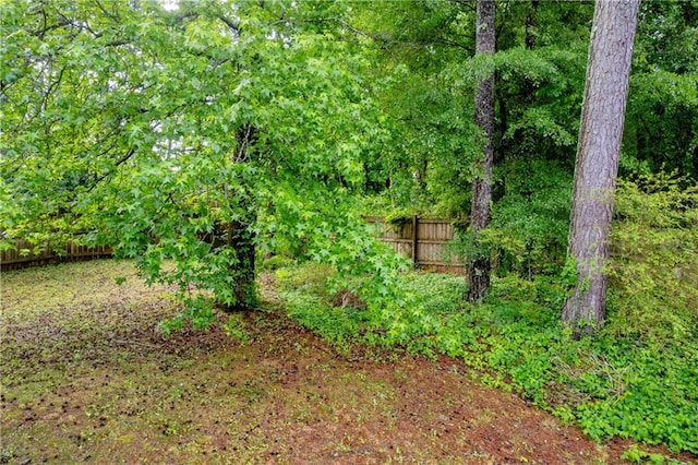1645 Cobbs Creek Ln, Decatur, GA 30032 - view of yard featuring fence