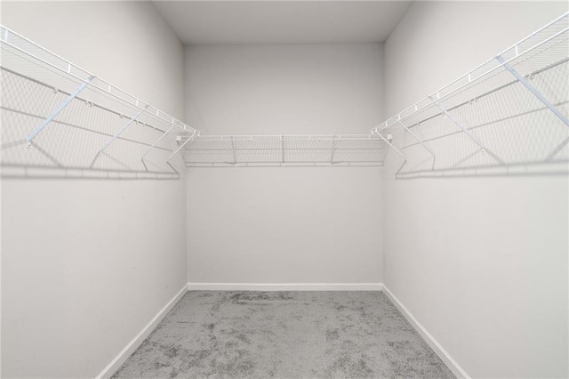 walk in closet featuring carpet floors