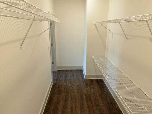 4590 River Stone Trl, Douglasville, GA 30135 - walk in closet featuring wood finished floors