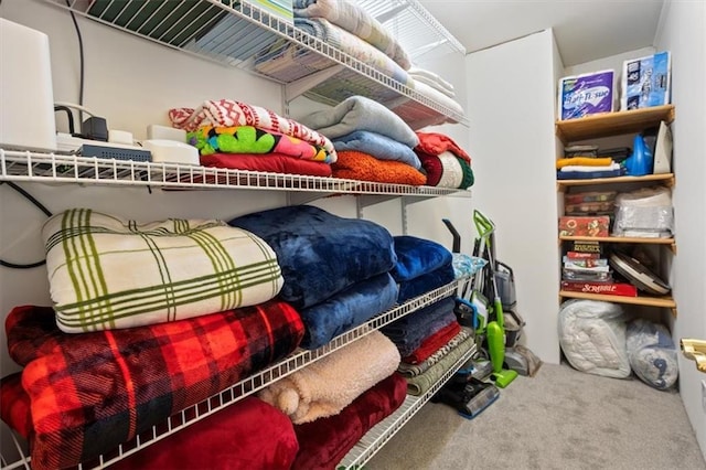 263 Mountainview Cir, Canton, GA 30115 - view of storage area