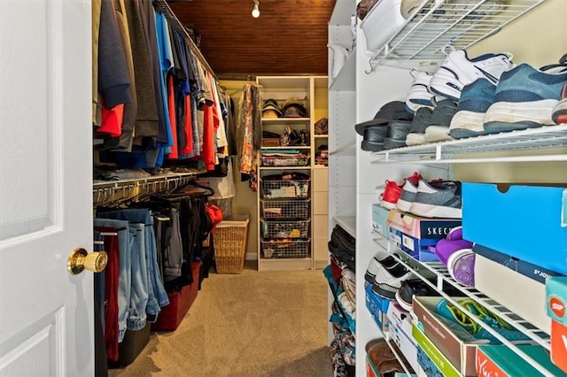 263 Mountainview Cir, Canton, GA 30115 - walk in closet with carpet flooring