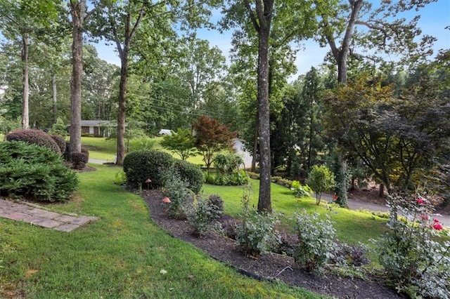 263 Mountainview Cir, Canton, GA 30115 - view of green lawn