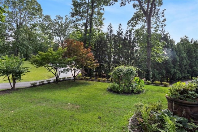 263 Mountainview Cir, Canton, GA 30115 - view of green lawn