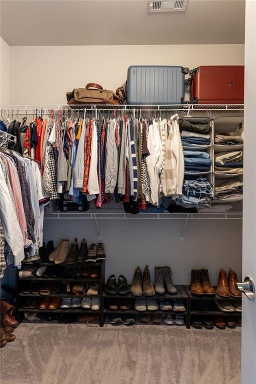2099 Lakeview Bend Way, Buford, GA 30519 - view of spacious closet