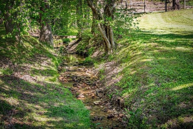 view of nature