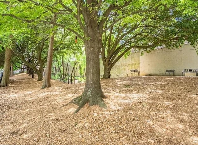1075 Peachtree Walk Unit A205, Atlanta, GA 30309 - view of yard