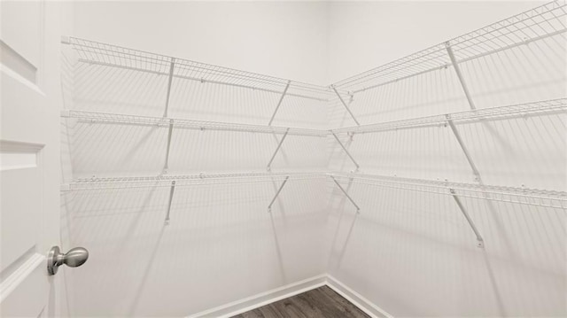 walk in closet with dark wood-style floors